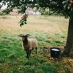 Dom wakacyjny The Little Cahon