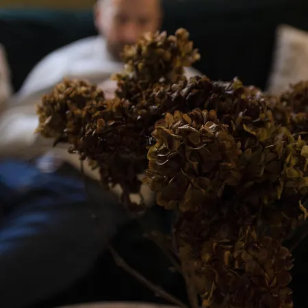 בית נופש The Little Cottage