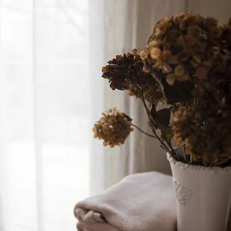 בית נופש The Little Cottage *