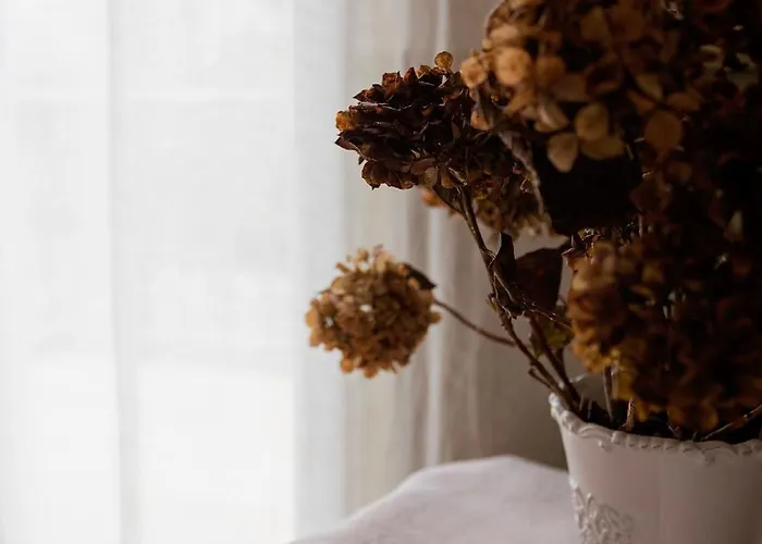 The Little Holiday home Cahon