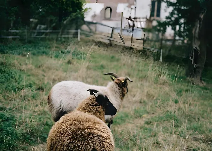 Holiday home The Little *